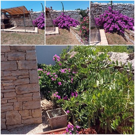Holiday Home Stancija Becic Mugeba 外观 照片